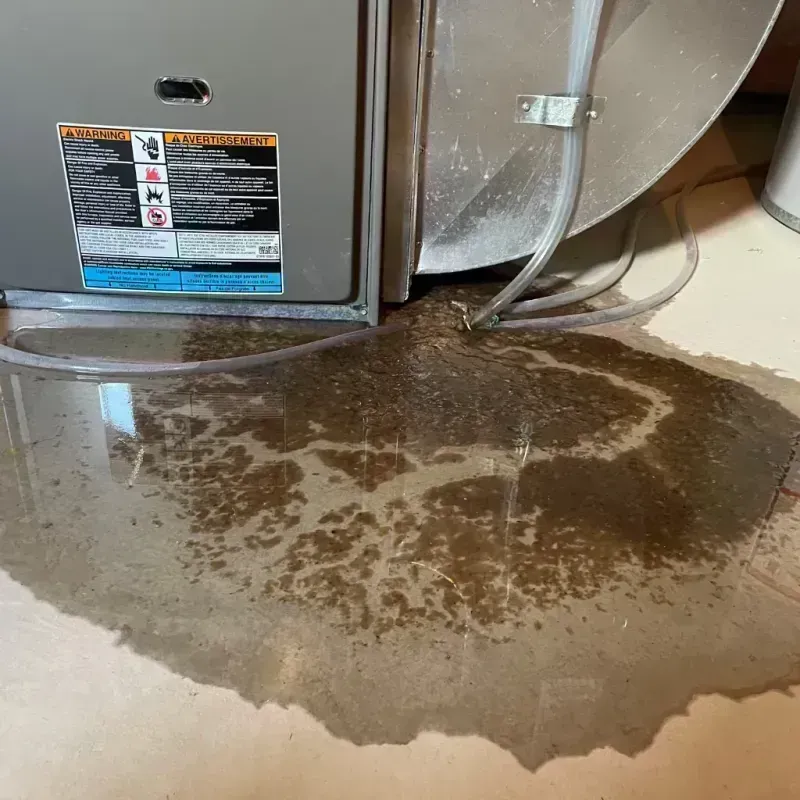 Appliance Leak Cleanup in Concord, MO